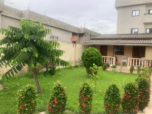 a yard with a palm tree and a building at Odoux in Adékplovi