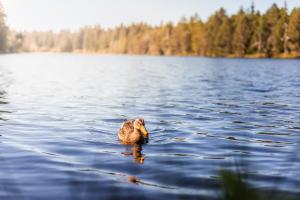 Loodusmaastik hotelli lähedal