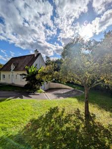 Zahrada ubytování Prestig house