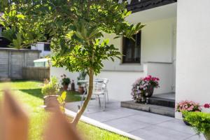 ein kleiner Baum im Hof eines Hauses in der Unterkunft Ferienwohnungen Veronika Wohnung 1 in Mittenwald