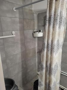 a shower with a shower curtain in a bathroom at Apartman Djokic 3 in Požarevac +32 photos
