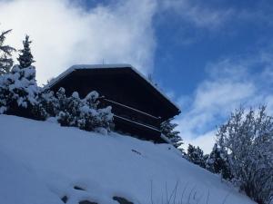 Chalet Annika talvel