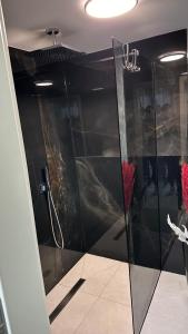 a bathroom with a shower with a glass door at Ferienwohnung SPA Delluxe Essen in Essen +4 photos