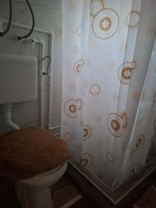 een badkamer met toilet en douchegordijn bij Cottage Martina in Žabljak +25 foto's