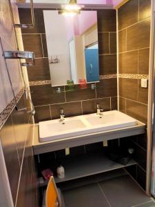 ein Badezimmer mit Waschbecken und Spiegel in der Unterkunft Chambre d'Hôtes du Bois Joli in Mesnard-la-Barotière + 25 Fotos