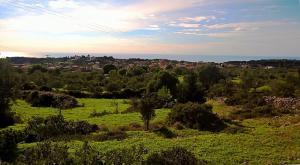 a green field with a town in the distance at Casa Campanario Villa - Charming Nature Villa with Pool in a Picturesque Village By Villa Mana Gers in Agios Leon +38 photos
