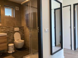 a bathroom with a toilet and a glass shower at 4-person chalet Albatros by the water with parking space in Anjum +38 photos