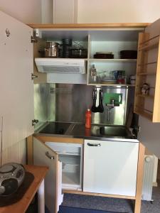 eine kleine Küche mit Spüle und Herd in der Unterkunft Ferienwohnung Doxa in Ernen + 4 Fotos