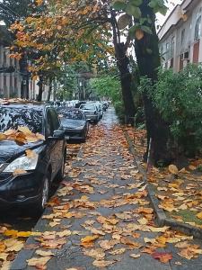 The surrounding neighborhood or a neighborhood close to the homestay