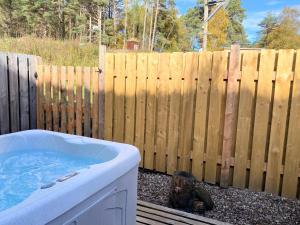 Fotografie z fotogalerie ubytování Kaoglen-Spruce-Hot Tub-Forrest Setting-Pet Friendly v destinaci Balnald