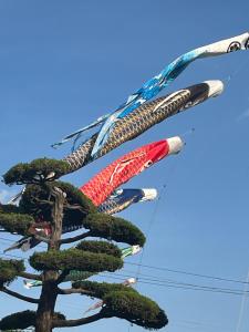 Fotografie z fotogalerie ubytování サンムーン鶴間 v destinaci Yamato