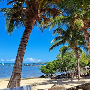 two palm trees on a beach near the water at Villa Takamaka à Azuri Smart City, Mauritius in Roches Noires