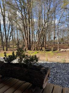 Gallery image of Casa Isidora in Frutillar