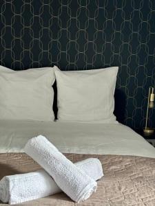 ロングペリエにあるLe Living Roissy CDGの緑の壁