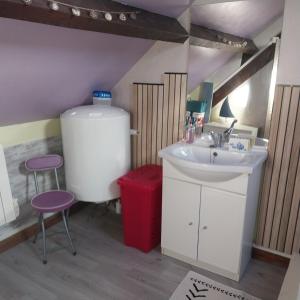 ein Bad mit einem Waschbecken und einem Wassertank in der Unterkunft ty anna in Le Palais