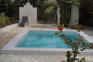 a swimming pool in a garden with a chair next to it at Dafa Tanga Lodge in Sanyang