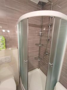 a shower with a glass door in a bathroom at Apartment Mario, Novalja in Novalja +25 photos