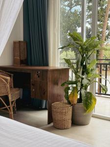 a bedroom with a plant in a pot next to a desk at Sapiens home - Weligama bay in Weligama +20 photos