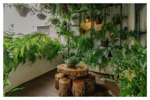 Zahrada ubytování Aki 秋 Hostel