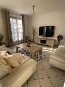 a living room with a couch and a tv at Chambre dans maison près Disneyland Paris - 2 in Brie-Comte-Robert