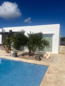 a house with a swimming pool in front of a building at Shangri-La in Meganisi