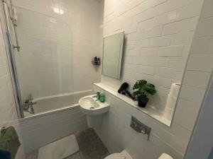 a bathroom with a sink and a toilet and a mirror at Temple bar - Entire 2 bedroom apartment in Dublin