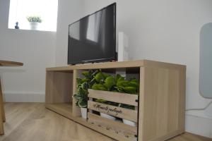 a television in a wooden cabinet with a plant at Yellowstone Ático luminoso y acogedor in Ferrol