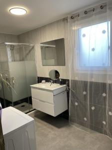 un bagno con lavandino e doccia di Charmante Maisonnette t2bis plaine de Calenzana a Calenzana