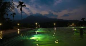 Imagine din galeria proprietății Mountain Wings Resort în Vythiri