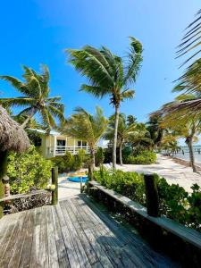 The swimming pool at or close to Bungalows Beach Key West Palm
