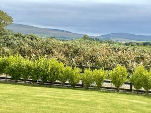 Galeriebild der Unterkunft Hazeltree Lodge in Sligo