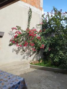 Gallery image of Giuly's House in Càbras