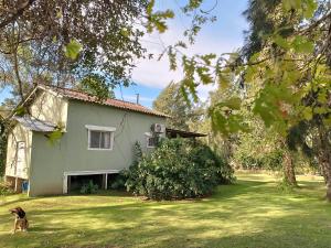 un cane in piedi di fronte a una casa di Quinta isleña Las Marías - Pileta - Domingos Check out 17 hs a Tigre Altre 24 foto