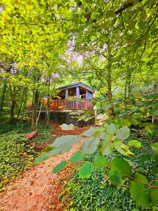 Zahrada ubytování La Cabane Enchanteresse