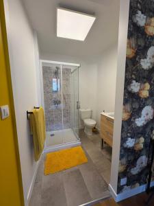 a bathroom with a shower and a toilet at Médiévale 27 in Semur-en-Auxois +58 photos