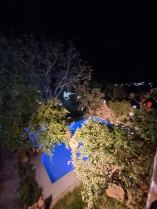 Aed väljaspool majutusasutust Chez Imnir