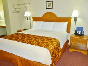 une chambre d'hôtel avec un grand lit et deux lampes dans l'établissement Royal Rest Motel, à Chariton