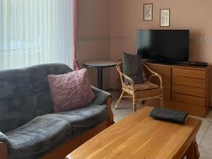 a living room with a couch and a tv at Hotel - Garni - Wolfshof in Traben-Trarbach