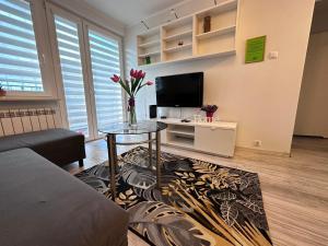 Televízia a/alebo spoločenská miestnosť v ubytovaní 7Centrum CityApartHomePARKING