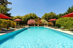 a large swimming pool with chairs and umbrellas at Le Domaine des Grès Luberon - Hôtel - Restaurant Sous les Platanes - Restaurant 901 côté piscine in Lagnes