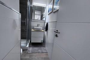 une petite salle de bain avec un lavabo et une douche dans l'établissement Apartment mit Wintergarten & Grüner Aussicht im Schwarzwald, à Löffingen 23 autres photos