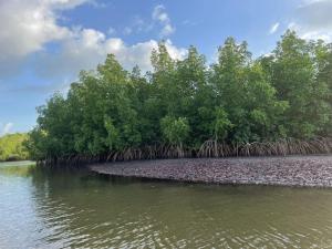 an island in the water with trees on it at Maison de campagne à Sipo in Sipo