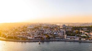 an aerial view of a city next to the water at Royan Hotel Hagia Sophia, a member of Radisson Individuals in Istanbul