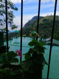 Příroda nedaleko ubytování v soukromí