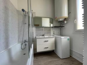 ein kleines Badezimmer mit Waschbecken und Dusche in der Unterkunft Appartement T4 Centre Ville C2 in Châteauroux