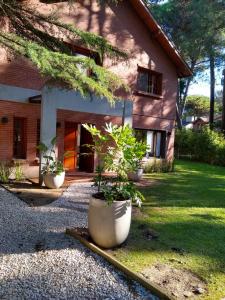 ein Haus mit drei großen Blumentöpfen davor in der Unterkunft Casa para 16 personas in Carilo