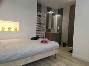Un dormitorio con una cama y un espejo grande. en wintzenheim: appartement, en Wintzenheim