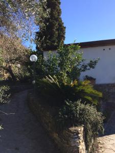 A garden outside Agriturismo S.Ilario