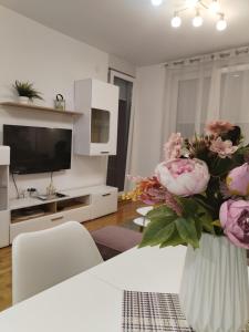 TV a/nebo společenská místnost v ubytování Apartment Spring Flower