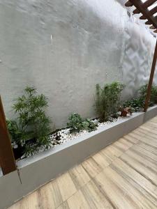 a planter with plants in the corner of a wall at JP Suites & Residences in Tayabas +12 photos